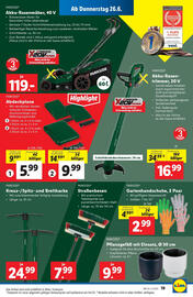 Lidl Flugblatt woche 26 Seite 23