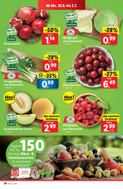 Lidl Flugblatt woche 26 Seite 36