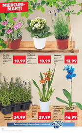 Catalog Kaufland săptămâna 26 Pagină 20