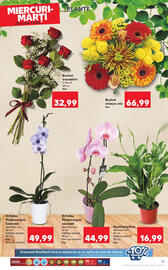 Catalog Kaufland săptămâna 26 Pagină 21