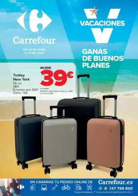 Folleto Carrefour (válido hasta el 21-07)
