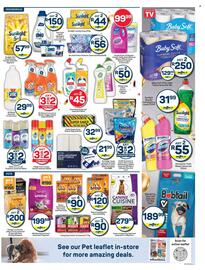 Pick n Pay catalogue Page 11