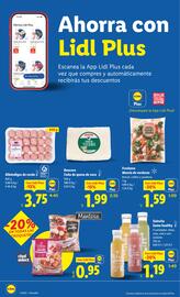 Folleto Lidl semana 27 Página 14