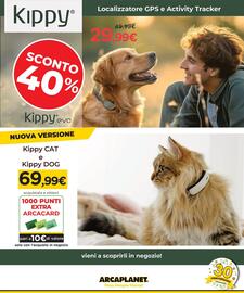 Volantino Arcaplanet settimana 26 Pagina 13