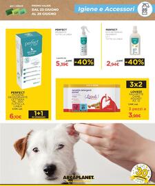 Volantino Arcaplanet settimana 26 Pagina 17