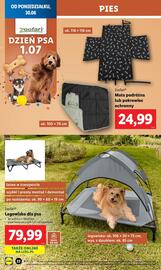 Lidl gazetka tydzień 27 Strona 22
