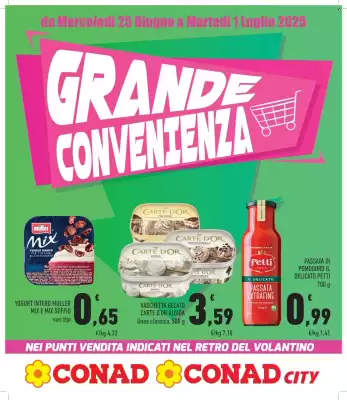 Volantino Conad (valido fino al 1-07)