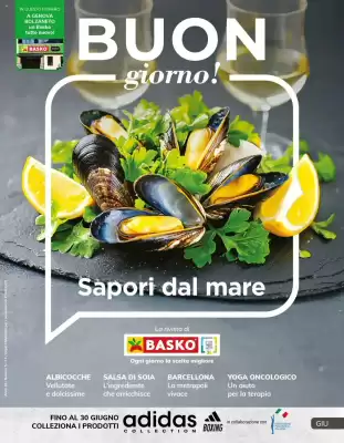 Volantino Basko (valido fino al 30-06)