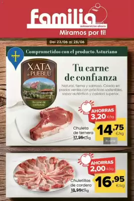 Folleto Eroski (válido hasta el 28-06)