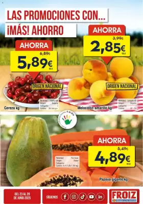 Folleto FROIZ (válido hasta el 29-06)