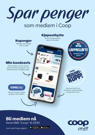 Coop Obs Kundeavis Side 31