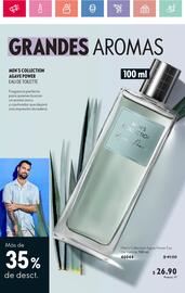 Catálogo Oriflame Página 110
