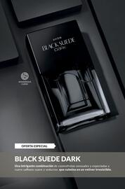 Catálogo AVON Página 72