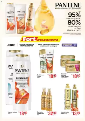 Catálogo Fort Atacadista (válido até 29-06)