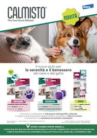 Volantino Viridea Pagina 8
