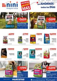 Catálogo Nini Mayorista semana 26 Página 31