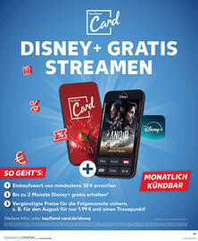 Kaufland DE folder week 26 Pagina 29