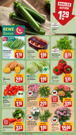 Rewe DE folder week 26 Pagina 7