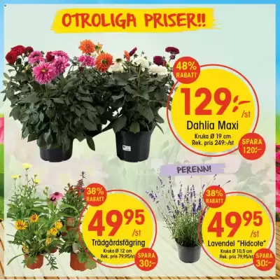 EKO reklamblad