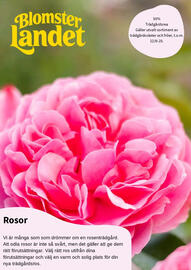 Blomsterlandet reklamblad Sida 1