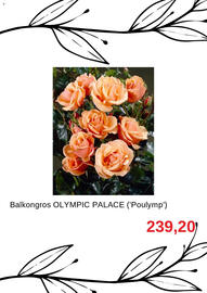 Blomsterlandet reklamblad Sida 2
