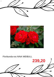 Blomsterlandet reklamblad Sida 3