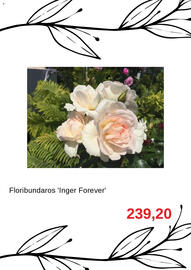 Blomsterlandet reklamblad Sida 4