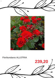 Blomsterlandet reklamblad Sida 5