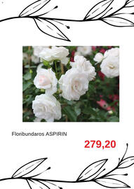 Blomsterlandet reklamblad Sida 6