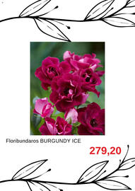 Blomsterlandet reklamblad Sida 8