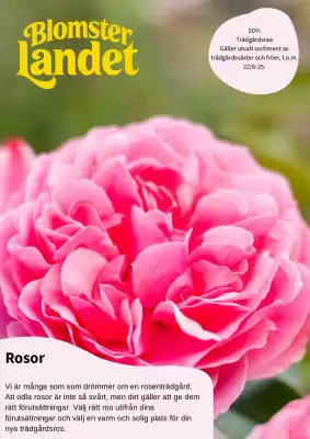 Blomsterlandet reklamblad (giltig till och med 22-07)