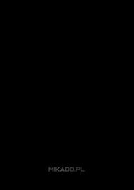 Rast gazetka Strona 388