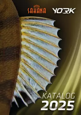 Rast gazetka (ważność do 31-12)