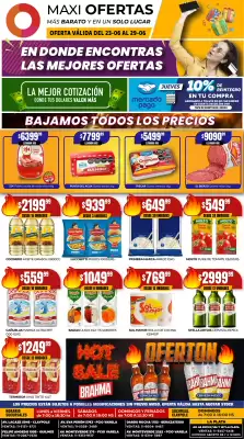 Catálogo Maxi Ofertas (válido hasta 29-06)