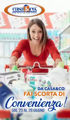Volantino Casa & Co