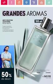 Catálogo Oriflame Página 110