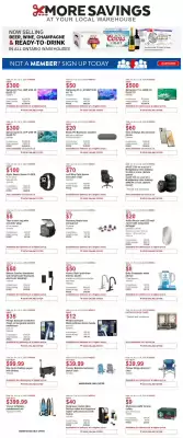 Costco flyer (valid until 7-07)