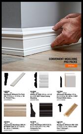 The Home Depot Weekly Ad week 26 Page 2