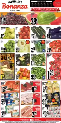 Bonanza flyer (valid until 9-07)