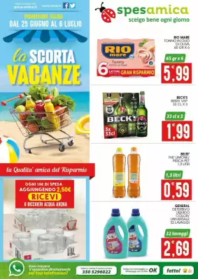 Volantino SpesAmica