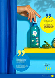 Folleto Lidl Página 31