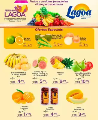 Catálogo Super Lagoa