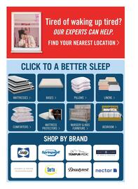The Brick flyer Page 4