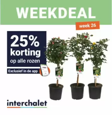 Inter Chalet folder (geldig t/m 29-06)