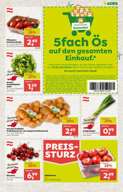 ADEG Flugblatt woche 26 Seite 5
