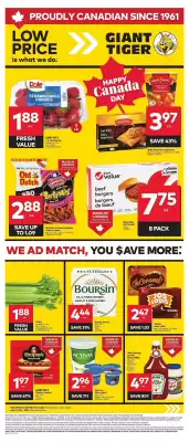 Giant Tiger flyer (valid until 2-07)