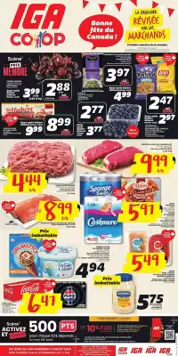 IGA flyer (valid until 2-07)