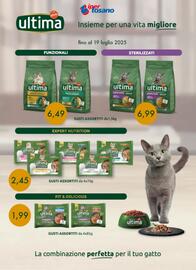 Volantino Iper Tosano settimana 26 Pagina 2