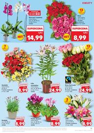Kaufland gazetka tydzień 26 Strona 13