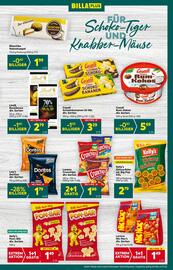 Billa Flugblatt woche 26 Seite 15